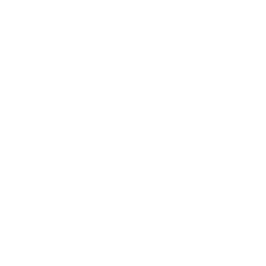 Noark Logo W