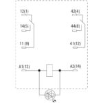 رله کمکی D-Series 12VDC 2CO وايدمولر آلمان - Image 2