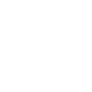 Siemens Logo W