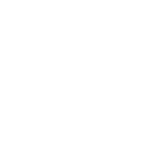 Weidmuller Logo W